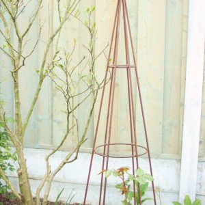 Obelisk Klimornament ( vierkant) – Tuinfee